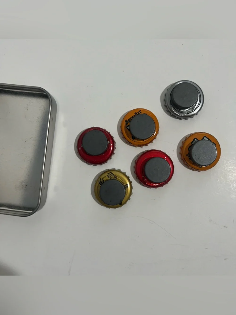 Kates Magnets nwt kate